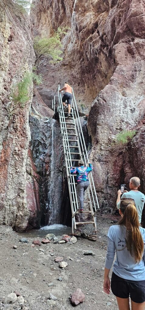 Arizona Ladder